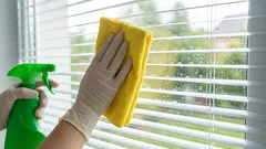 Što koristiti za brisanje prozora kako ih ne biste morali prati nakon svake kiše: metoda pomoću svakodnevnih kućanskih predmeta