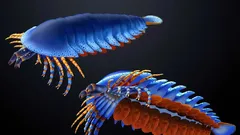 Fosil otkriven u Utahu pomiče pojavu helicera – očnjaka tipičnih za pauke i škorpione – za 20 milijuna godina.