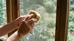 Vaša mreža protiv komaraca izgledat će kao nova za 10 minuta: jednostavan način za brzo čišćenje pomoću svakodnevnih kućanskih predmeta