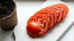 Samo jedna rajčica za vlastitu berbu: ovaj pametni supermarket trik pomoći će vam da to postignete u proljeće