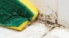  Ovaj mliječni napitak odmah uklanja mrlje od plijesni.