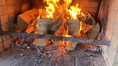 Koje vrste drva ne bi trebalo paliti kod kuće: te vrste ne proizvode mnogo topline