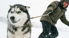 10 pasmina pasa koje neće oprostiti pogreške neiskusnih vlasnika