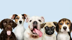 7 vrsta ljudi koje ljudi obično izbjegavaju: što im je loše