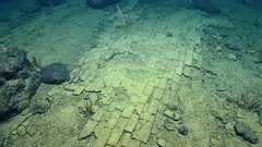 Znanstvenici su otkrili 'žutu ciglena cestu' na dnu oceana.