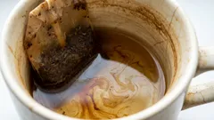 Zašto namakati posuđe s vrećicama čaja: savjet iskusnih kućanica