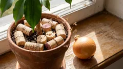 Riješio sam se muha u gredicama s lukom i cvijećem koristeći obični čep od vina (i preporučujem da i vi to učinite – djeluje!).