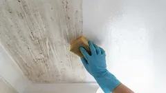 Moja susjeda podijelila je svoju tajnu za besprijekorno čiste rastezljive stropove: jednostavnu metodu koja ne ostavlja pruge.